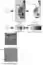 Fig. 22 - System and method for the visualization and characterization of objects in images