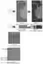 Fig. 26 - System and method for the visualization and characterization of objects in images
