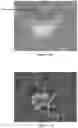 Fig. 29 - System and method for the visualization and characterization of objects in images