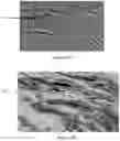 Fig. 30 - System and method for the visualization and characterization of objects in images