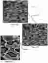 Fig. 31 - System and method for the visualization and characterization of objects in images