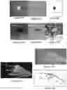 Fig. 33 - System and method for the visualization and characterization of objects in images