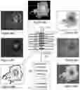 Fig. 37 - System and method for the visualization and characterization of objects in images
