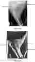 Fig. 41 - System and method for the visualization and characterization of objects in images