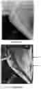 Fig. 42 - System and method for the visualization and characterization of objects in images