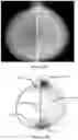 Fig. 54 - System and method for the visualization and characterization of objects in images