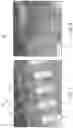 Fig. 09 - Anomaly detection using image-based physical characterization