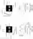 Fig. 12 - X-ray CT scanner, image generation method, and image generation program