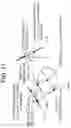 Fig. 14 - X-ray CT scanner, image generation method, and image generation program