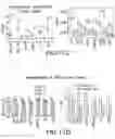 Fig. 19 - Methods, systems, and apparatuses for quantitative analysis of heterogeneous biomarker distribution