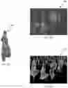 Fig. 05 - Patch splitting for improving video-based point cloud compression performance