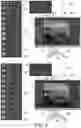 Fig. 02 - Contrast-ratio-based color generation