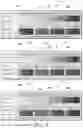 Fig. 06 - Contrast-ratio-based color generation