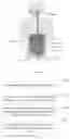 Fig. 05 - Picture marking method and apparatus, computer device, and computer readable storage medium