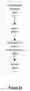 Fig. 03 - Three dimensional acquisition and rendering