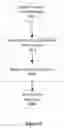 Fig. 05 - Three dimensional acquisition and rendering
