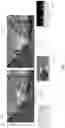 Fig. 06 - Interactive mixed reality platform utilizing geotagged social media