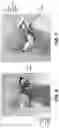 Fig. 07 - Surgeon head-mounted display apparatuses