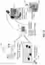Fig. 13 - Surgeon head-mounted display apparatuses