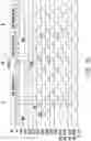 Fig. 23 - Driving apparatus of light emitting diode display device for compensating emission luminance gap