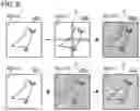 Fig. 09 - Machine learning method, machine learning system, and display system