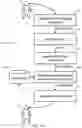 Fig. 16 - Information Retrieval According To A User Interest Model
