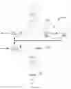 Fig. 09 - Data transfer