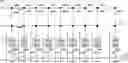 Fig. 01 - Longest element length determination in memory
