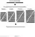 Fig. 03 - MHC-1 Genotypes Restricts The Oncogenic Mutational Landscape