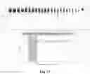Fig. 87 - DETECTING AND CLASSIFYING COPY NUMBER VARIATION