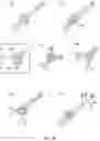 Fig. 10 - METHODS AND COMPOSITIONS FOR PROTEIN SEQUENCING