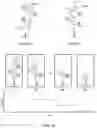 Fig. 13 - METHODS AND COMPOSITIONS FOR PROTEIN SEQUENCING