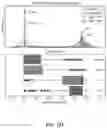 Fig. 31 - METHODS AND COMPOSITIONS FOR PROTEIN SEQUENCING