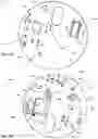 Fig. 40 - Medication adherence apparatus and methods of use