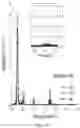 Fig. 04 - Hierarchically nanostructured films and applications thereof