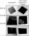 Fig. 07 - Hierarchically nanostructured films and applications thereof