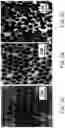 Fig. 08 - Hierarchically nanostructured films and applications thereof