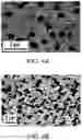 Fig. 09 - Hierarchically nanostructured films and applications thereof