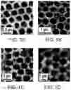 Fig. 10 - Hierarchically nanostructured films and applications thereof