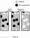 Fig. 12 - Hierarchically nanostructured films and applications thereof