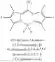 Fig. 29 - BODIPY-based copolymer and solar cell comprising same