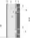 Fig. 11 - Field programmable detector array