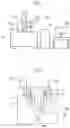 Fig. 02 - Charged particle beam apparatus