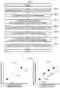 Fig. 04 - Charged particle beam apparatus