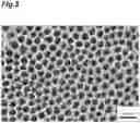 Fig. 04 - Mass spectrometer and mass spectrometry method
