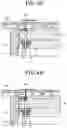 Fig. 06 - Plasma processing apparatus and mounting table thereof