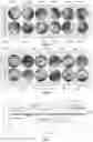 Fig. 09 - Systems and methods for controlling substrate approach toward a target horizontal plane