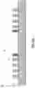 Fig. 40 - Microelectronic assemblies with communication networks