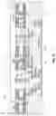 Fig. 12 - Microelectronic assemblies
