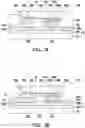 Fig. 06 - Light-emitting apparatus including sacrificial pattern and manufacturing method thereof